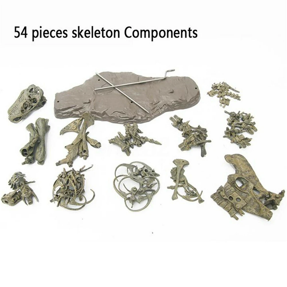Орнамент в виде фигур Подарочная игрушка 3D образовательный скелет окаменелости