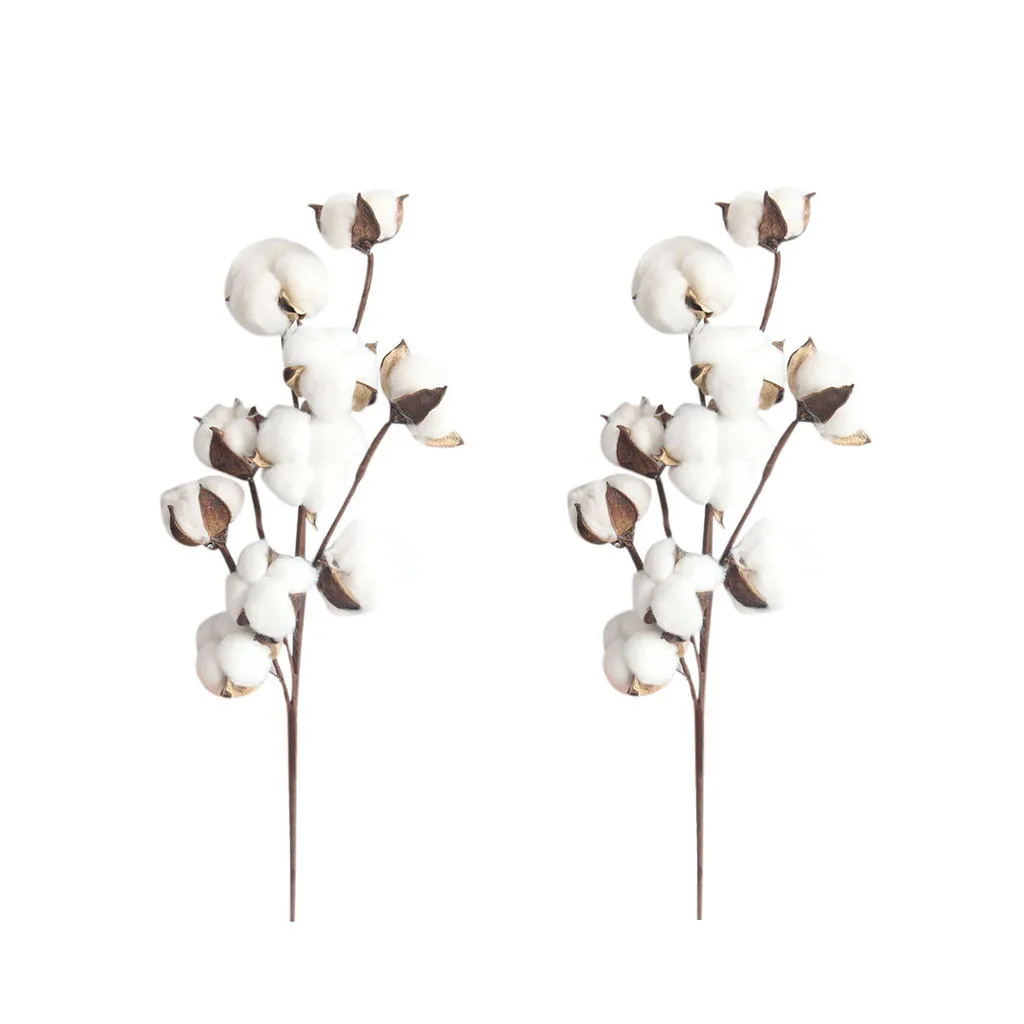 2 шт. высушенные стебли хлопка 21 дюйм | Дом и сад