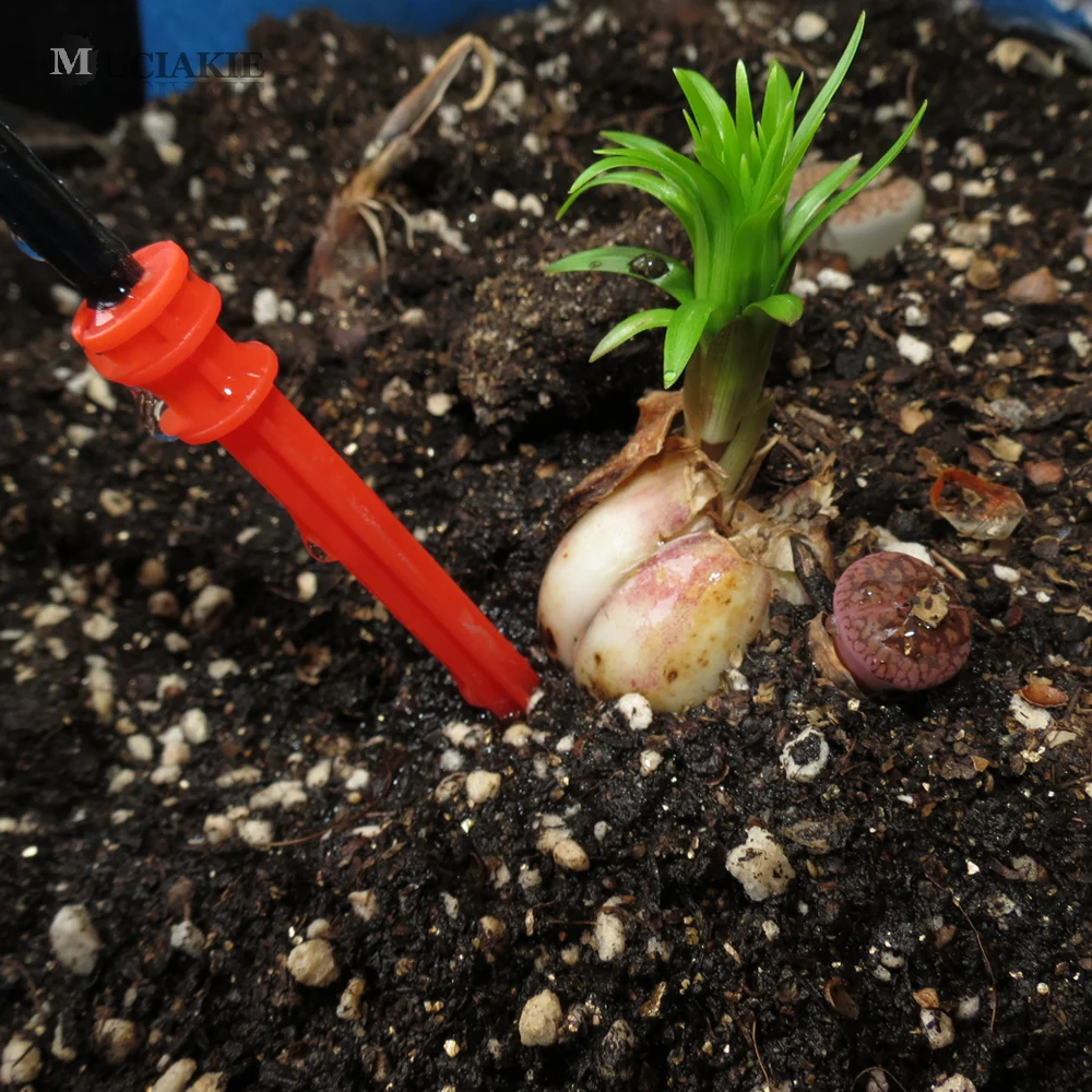 Система капельного полива MUCIAKIE комплект с 4 прямыми мини-кольями 100 м 2 л/ч | Дом и