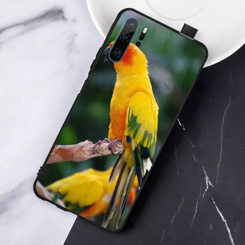 

parrot cute corlorful animal high quality luxury Phone Case shell For Huawei honor Mate P 10 20 30 40 Pro 10i 9 10 20 8 x Lite