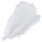 10 шт., слон, белые страусиные перья, домашний декор сделай сам, 16-30 дюймов, плюмас, центральный элемент свадьбы, декоративные перья для поделок
