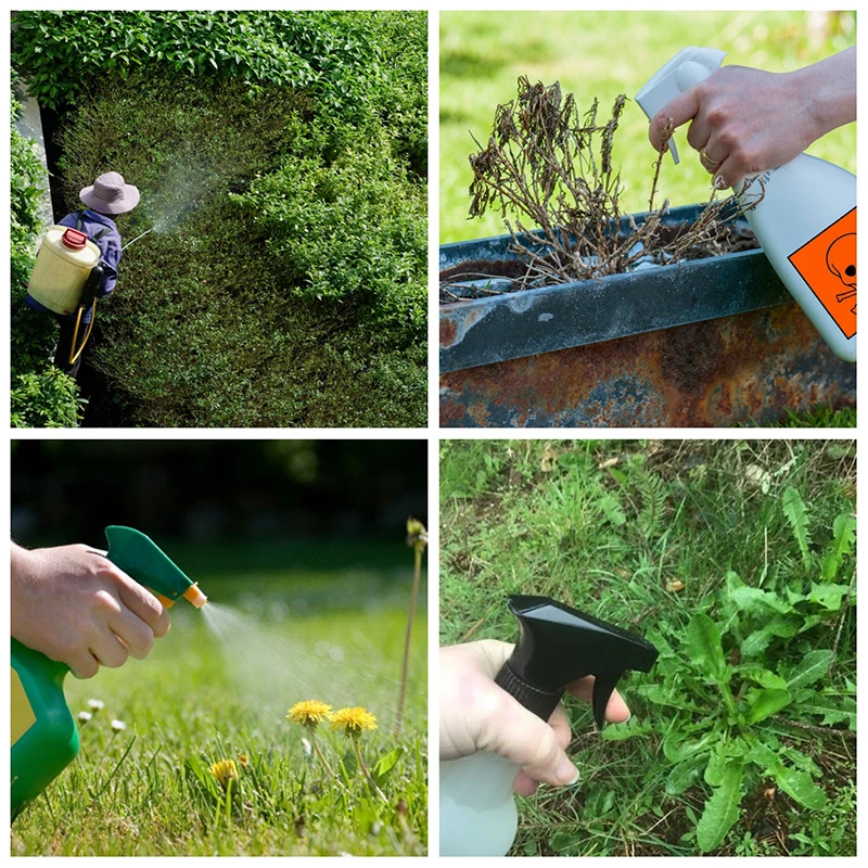 

50g Ammonium Glyphosate Glycine Herbicide Remove Broadleaf Weed Kill Grass Leaf Spray Weedkiller 50g Soluble Granular Herbicide