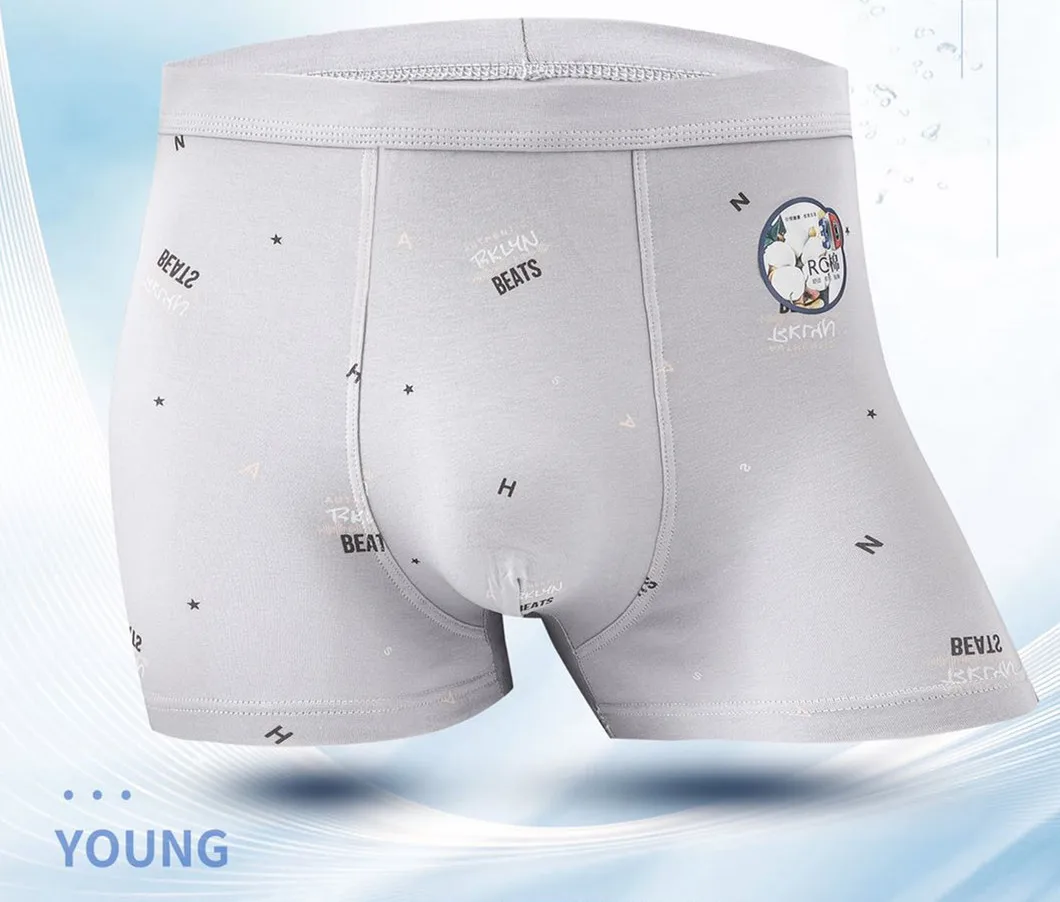 

4PCS High Quality Man Boxer Comfortable Mens Underwear U Convex Shorts Sexy Male Panties Printed Breathable Men Underpants