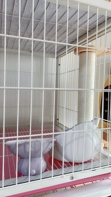 86 см 44 см кошачья клетка Когтеточка для кошек альпинистская рамка для домашних животных Когтеточка для котят скребок Sisal Tree HW221