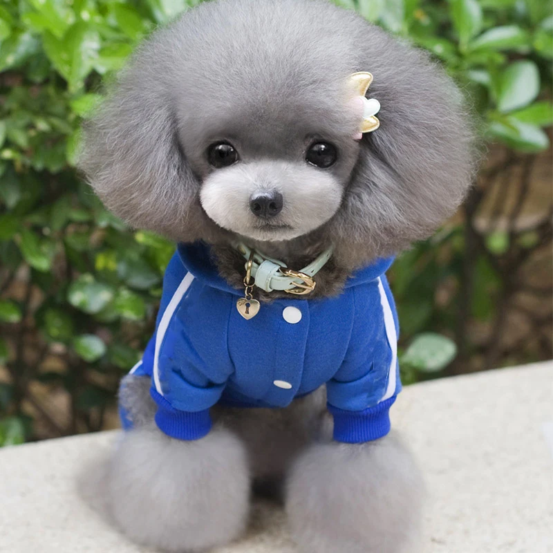 Хлопковая одежда для кошек пальто собак толстая домашних животных чихуахуа