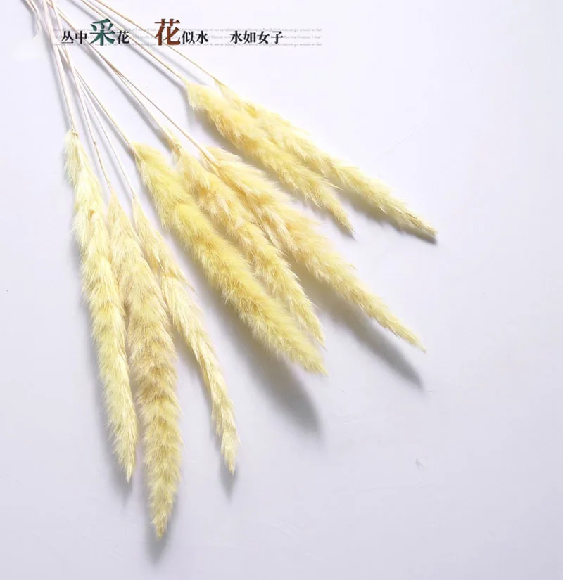 7 шт. Bulrush Натуральные Сушеные маленькие пампасы травы Phragmites растения искусственные, свадебные цветы букет домашний Рождественский Декор искусственный цветок