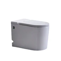 foot flush electronic water closet back to wall ceramic bathroom tankless concealed tank cistern pulse toilet without water tcd