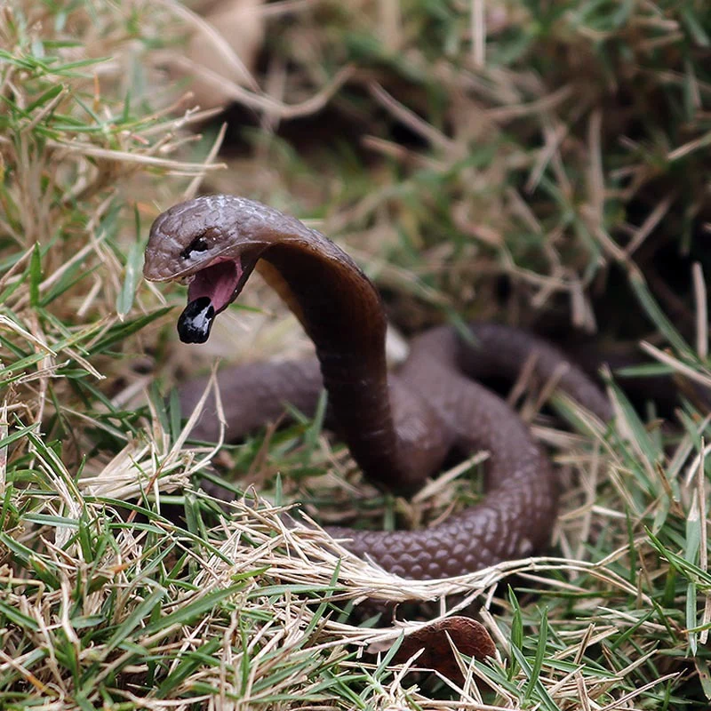 Solid Simulation Wildlife Snake Toy King Cobra Small Model Amphibian Reptile Decoration |