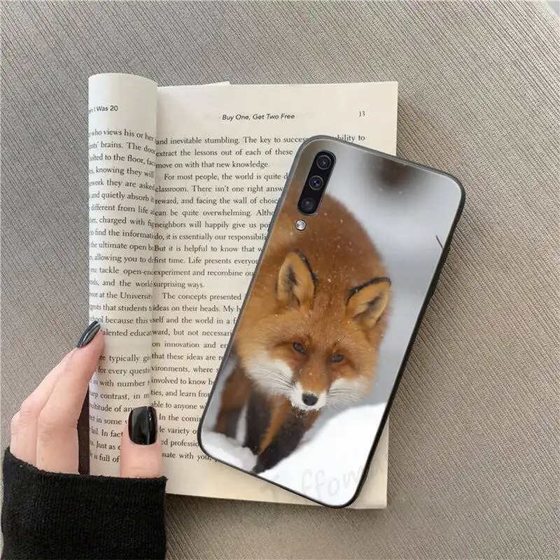 

Animal Raccoon Fox high quality Phone Case For Samsung galaxy S 9 10 20 A 10 21 30 31 40 50 51 71 s note 20 j 4 2018 plus