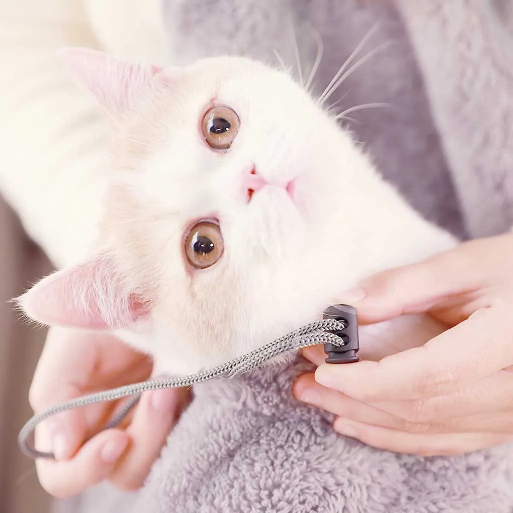 Переноска для собак кошек откат выполнен пакет путешествия авиакомпания