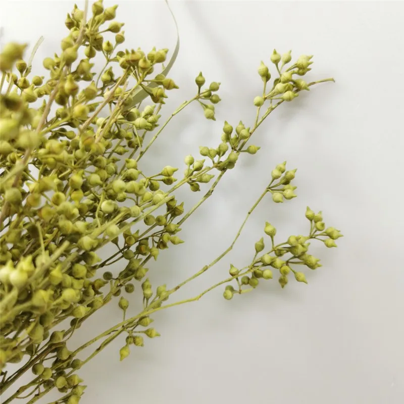 

Fleur Sechee Naturelle Plant Accessories Flores Home Party Wedding Christmas Decoration Droogbloemen Boeket DIY Shooting Props