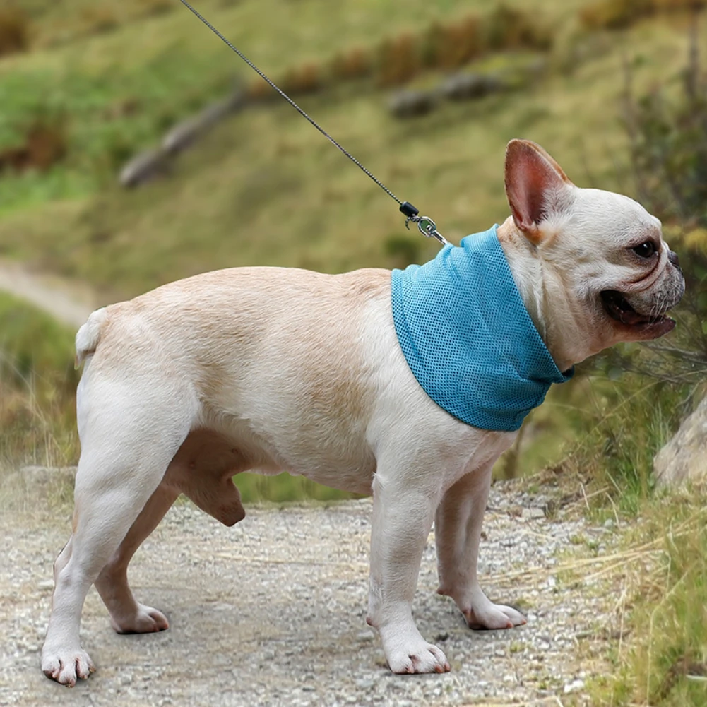 

Summer Pet Heatstroke Prevention Cooling Towel Around Neck Dog Head Scarf Scarf Cooling Collar Cool Neck Triangle Bandage
