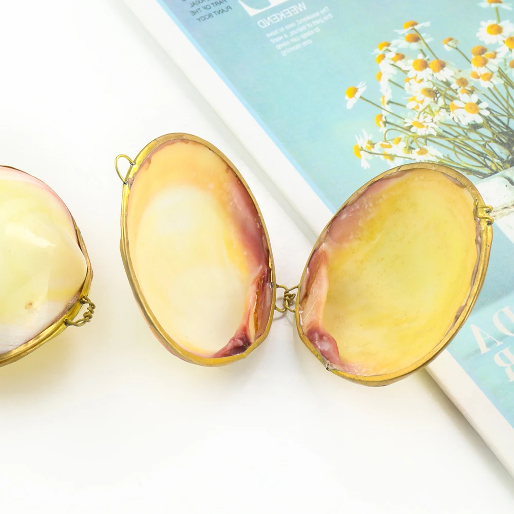 Шкатулка для ювелирных изделий из натуральной ракушки 1 шт. | Дом и сад