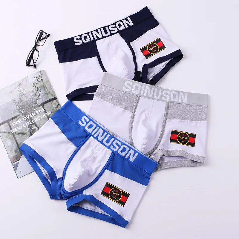 

4Pcs Underwear Men Boxer Men's Panties Men Underwear Boxer Shorts Boxershorts Long Underpants Natural Cotton High Quality 2021