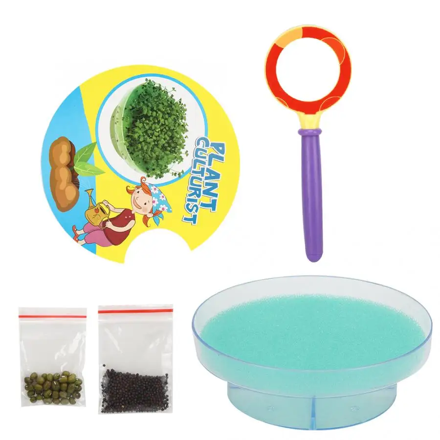 Детский набор с лупой Петри для выращивания семян развивающая игрушка детского