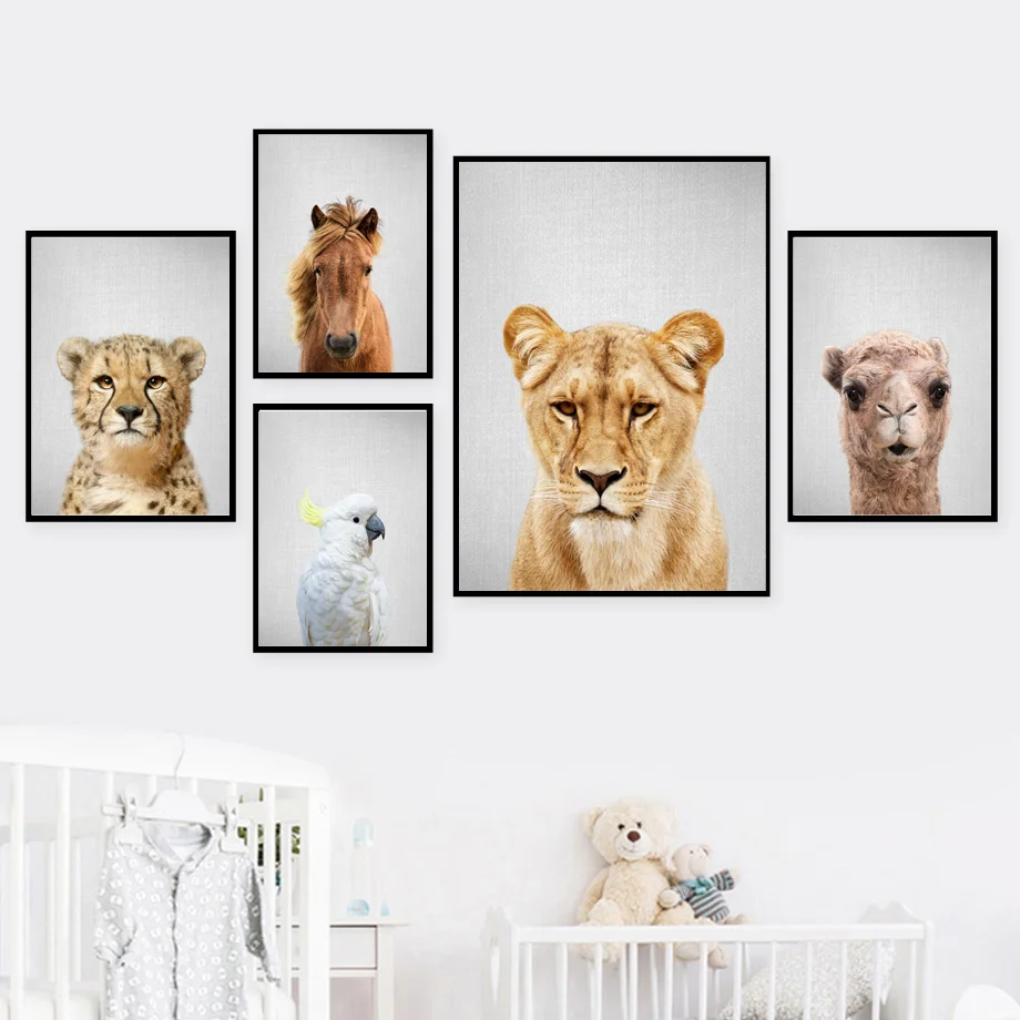 Настенная картина с попугаями кроликами альпакой львом зеброй леопардом Картина