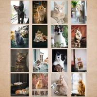 customizable diamond painting cute pet cats 5d diy square round diamond paste painting cross stitch crafts home decoration