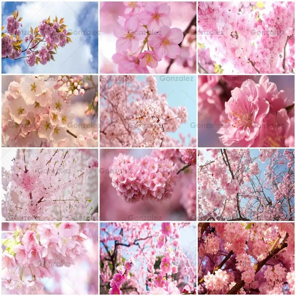 

Pink Cherry Blossom Plum Painting Full Drill Diy Embroidery Diamond Mosaic Cross Stitch Art Kit Home Decoration Handicrafts Gift