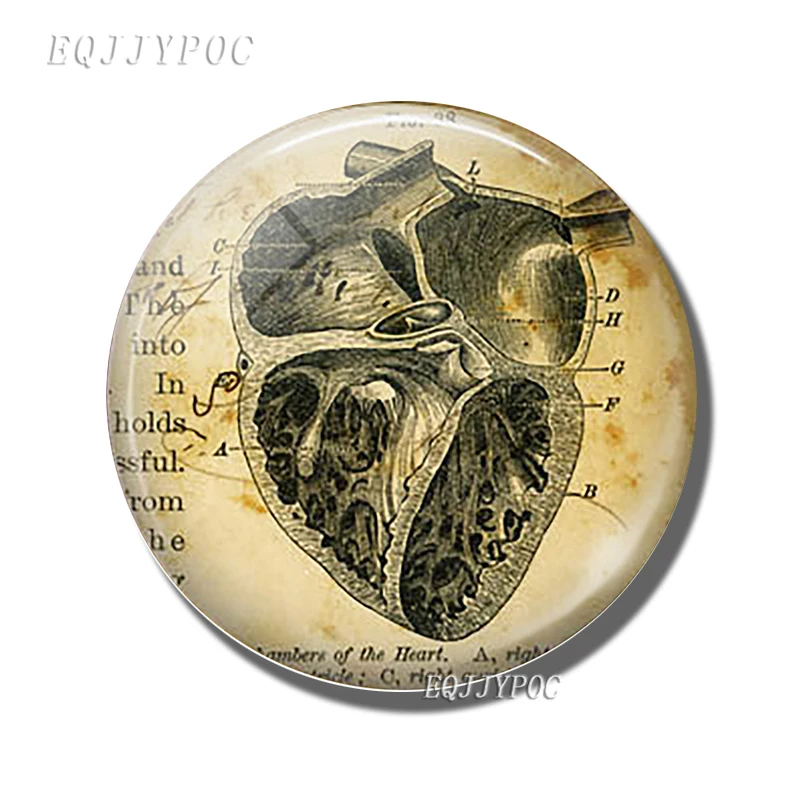 Магниты на холодильник магнитные наклейки с человеческим телом для разворота