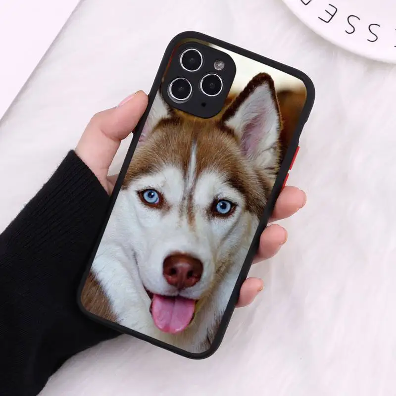 

Cute Husky dog lovely animal Phone Case Matte Transparent for iPhone 7 8 11 12 s mini pro X XS XR MAX Plus cover funda