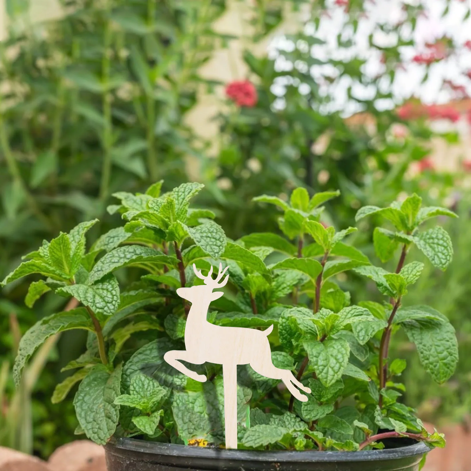 

Wooden Sign Creative Gardening Plant Label Can Write Insert Ground 10PCS