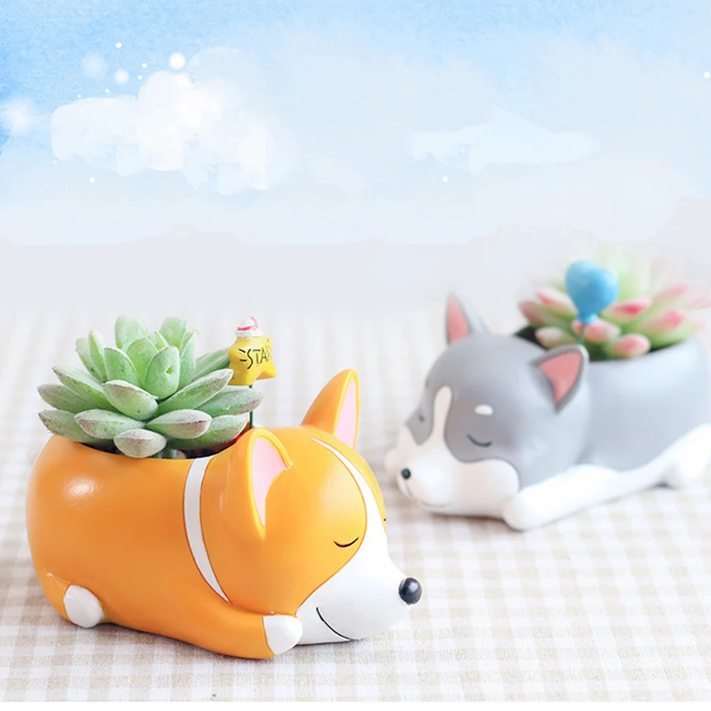 Мультипликационные животные Собаки Настольный суккулент растения Цветочный
