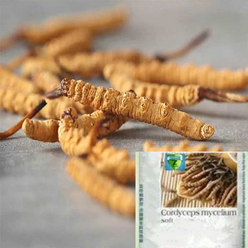 

1 бутылка/2bottles Cordyceps Mycelium против усталости, повышения иммунитета человека, восстановления физического фитнеса и задержки старения 100 шт./бут...