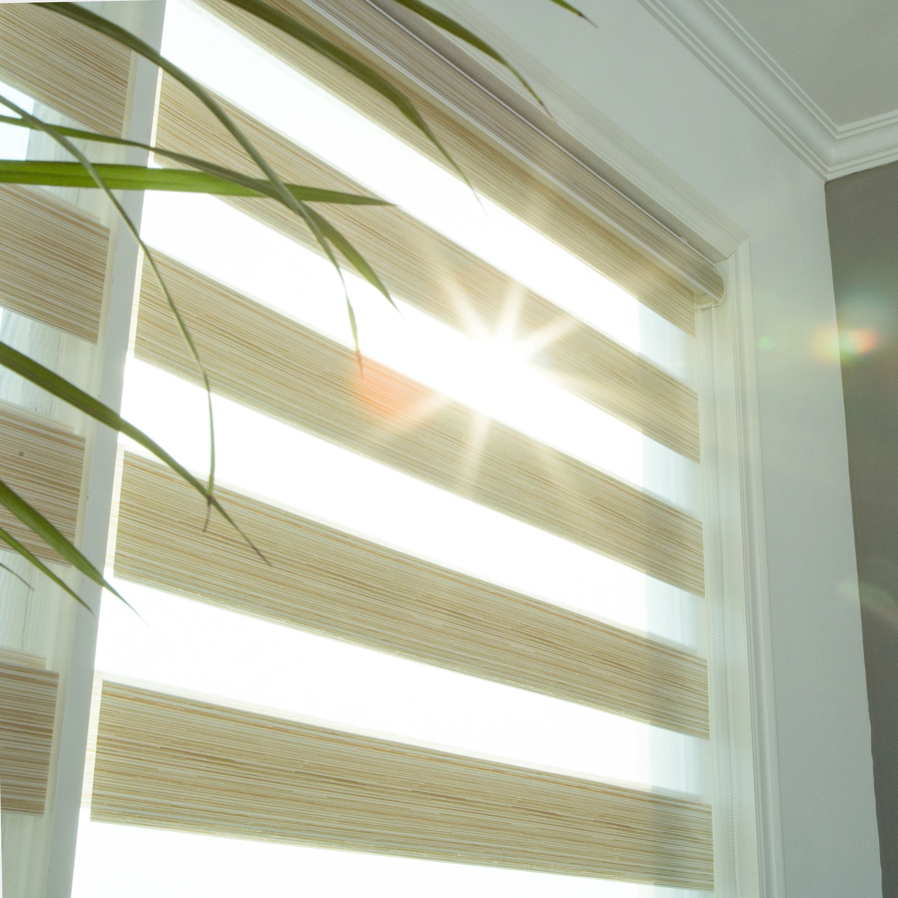 Новый дизайн размеры на заказ|Жалюзи шторы и ставни| |