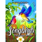Книга-раскраска Songbirds: раскраска для взрослых с красивыми Songbirds, изысканными цветами и природными сценами, 25 страниц