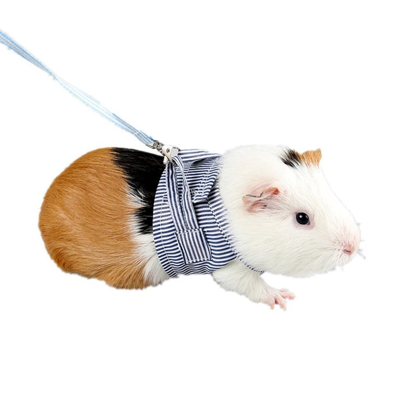 

Rabbits Hamster Vest Harness With Leash Bunny Mesh Chest Strap Harnesses Ferret Guinea Pig Small Animals Pet Supplies