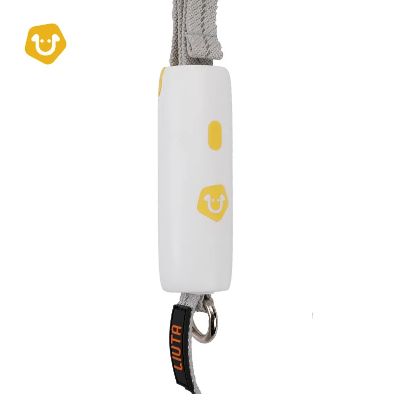 

Pet Supplies New Dog Leash Small and Medium-sized Dogs Dog Leash Elastic Rope Leash Dog Corgi Dog Chain Anti-lost Dog Leash