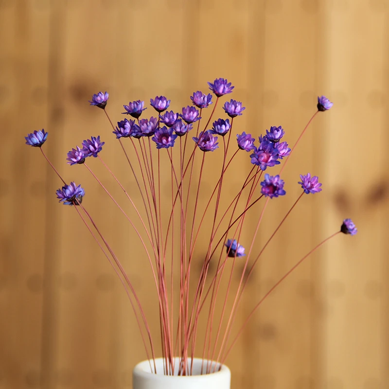 Декоративные сушеные цветы из хризантем 60 стеблей маленькое натуральное