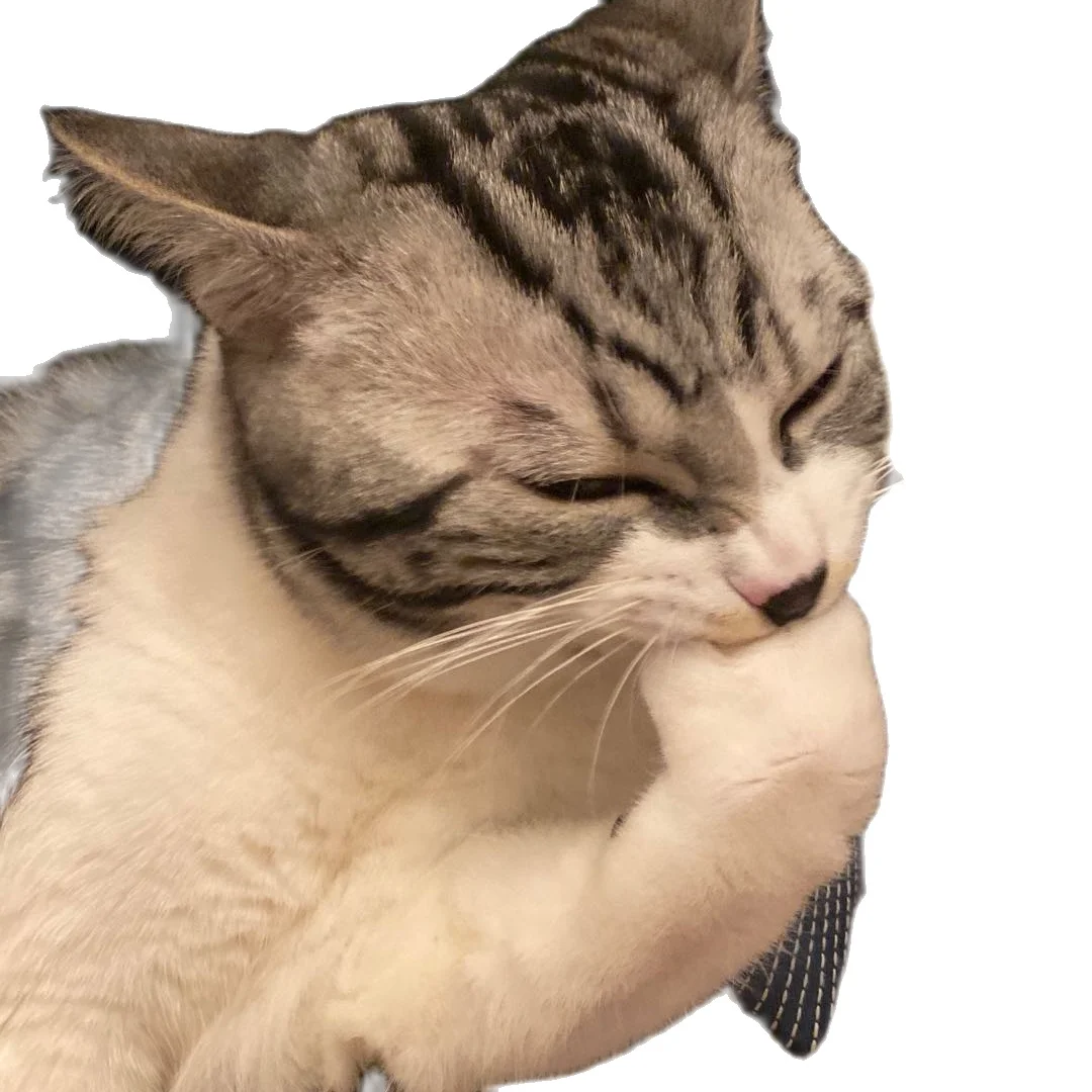 

Test TEST
