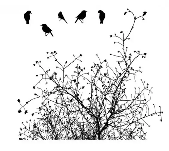 Прозрачный силиконовый штамп/печать для скрапбукинга своими