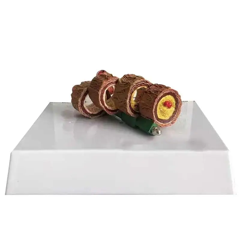 Кровеносный сосуд упрочнение артерий модель артериосклероза анатомическая