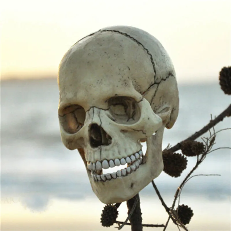 Оригинальная цветная кость 4d мастер головоломка сборка игрушка человеческое