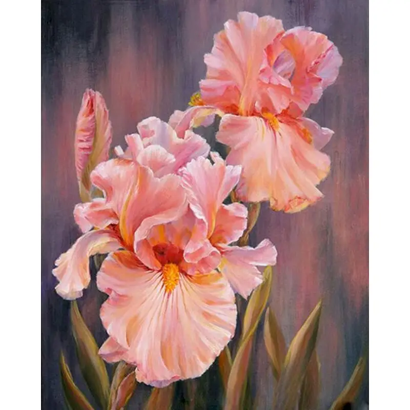 

GATYZTORY Irises Frame DIY Picture By Numbers Flower Pictures On Canvas Handmade Gift Coloring By Numbers For Living Room Kits