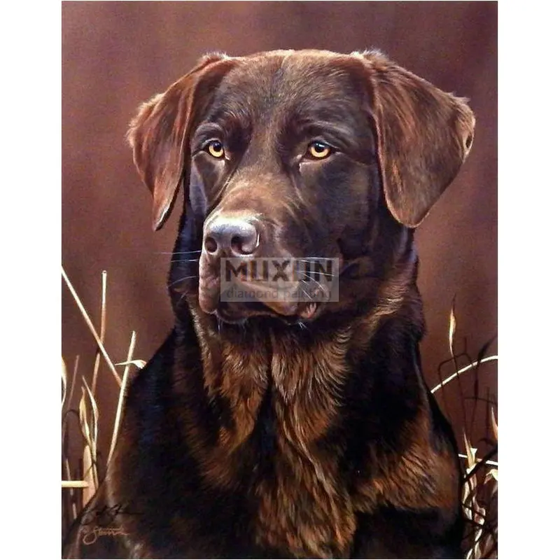 5D Алмазная мозаика ручная работа алмазная живопись вышивка крестиком полная