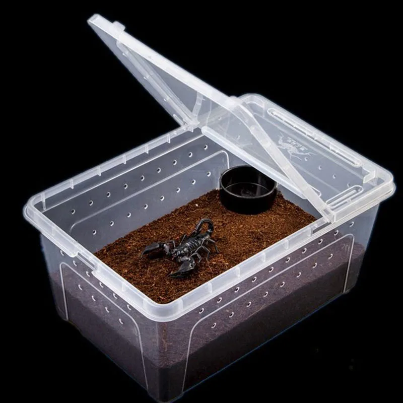 

Transparent Plastic Box Insect Reptile Transport Breeding Live Food Feeding Box