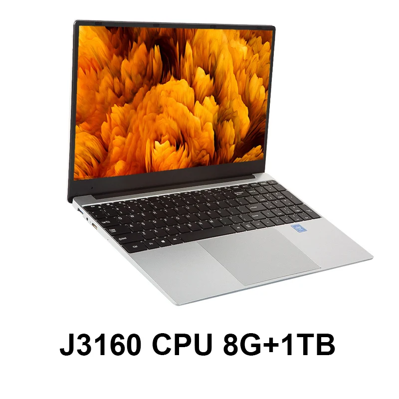 J3160/Core i3 ноутбук 15,6 дюймов с 8G ram 1 ТБ HDD Игровые ноутбуки компьютер с подсветкой Клавиатура ips дисплей ноутбук Win10 OS - Цвет: j3160-8G RAM-1TB