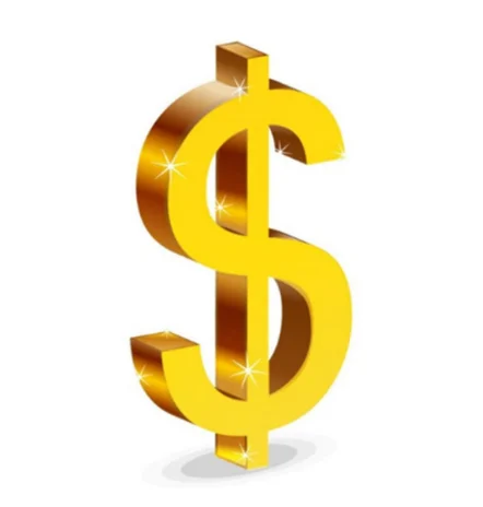 Дополнительная ссылка на доставку 80 $| |