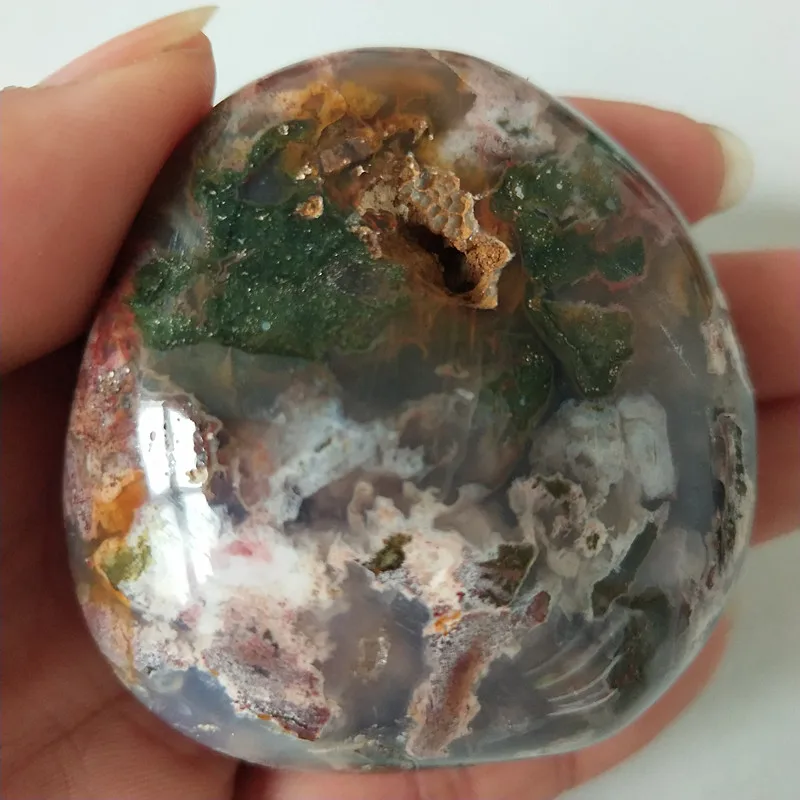Натуральные камни морская яшма пальмовые камни игрушки маленькие камни и кристаллы целебный кристалл