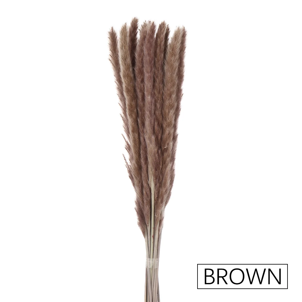brown 15 шт., сушеные Пампы, свадебные цветы, букет, тростник, натуральные украшения, для дома, букеты, ароматные, маленькие, прочные - Цвет: brown