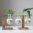 Гидропонное растение, прозрачная ваза, деревянная рамка, декоративная стеклянная Настольная Ваза, бонсай, декоративная ваза для цветов, домашний декор