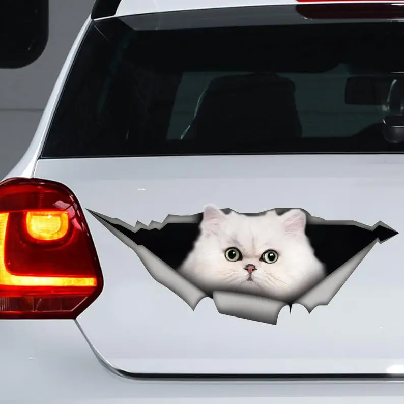 

2021 White Persian cat car decal, White cat car decal, Persian cat magnet
