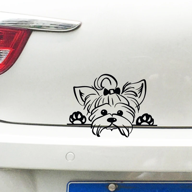 

Terrier Vinyl Sticker Decals Car Decor , Puppy Peeking Yorkie Dog Breed Pet Decal For Cup Laptop Decoration LW681