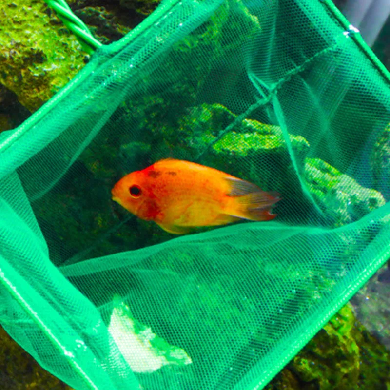 Fish Net for Aquarium Quick Catch Soft Fine Mesh with Plastic Handle AIA99 | Дом и сад