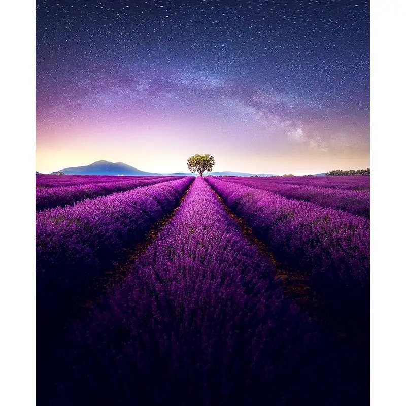 

Gatyztory Painting By Numbers For Adults Lavender Canvas Painting Landscape Coloring By Numbers Home Decor Decorative Frames