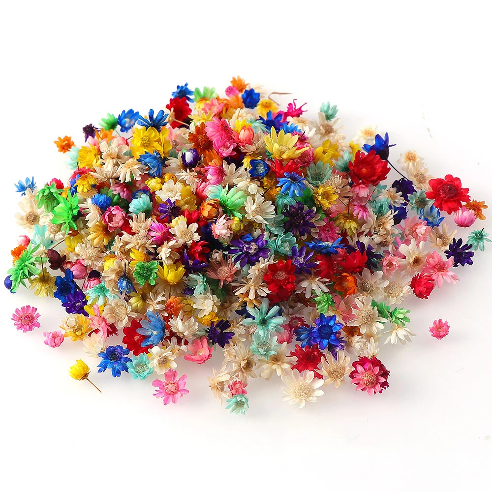 

100/200/600pcs Daisy Dried Flowers Nail Decor 3D Natural Dry Flower Stickers DIY Nail Art Decals Polish Manicure Accessories
