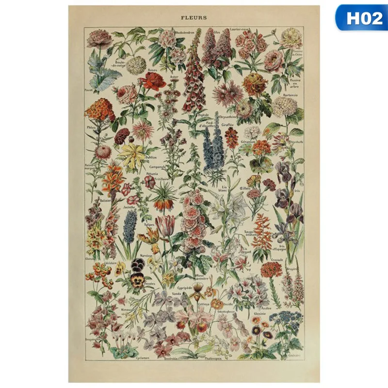 ВИНТАЖНЫЙ ПЛАКАТ принты ботанические биологические насекомые природа